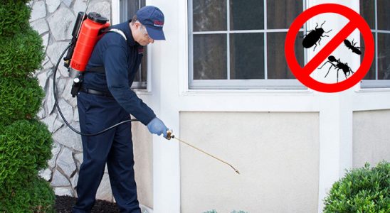 Uğurludağ Gümüşkurt İlaçlama böcek ilaçlama ve haşere kontrolü — ilaclama-tr.com
